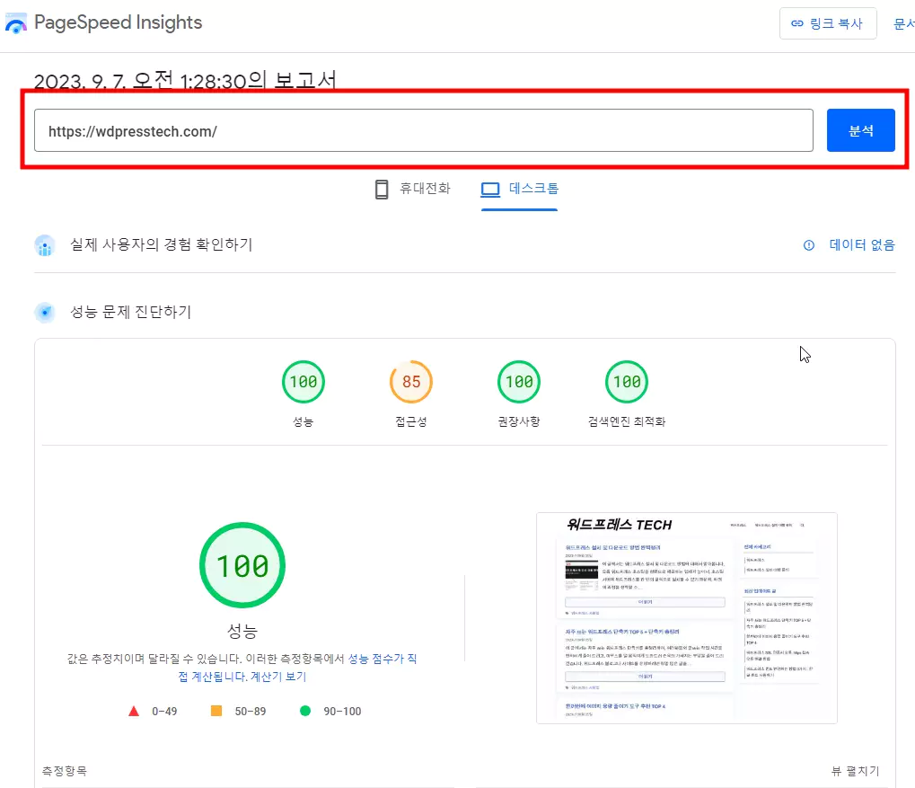 구글 페이지 스피드에 워드프레스 사이트 주소 검사