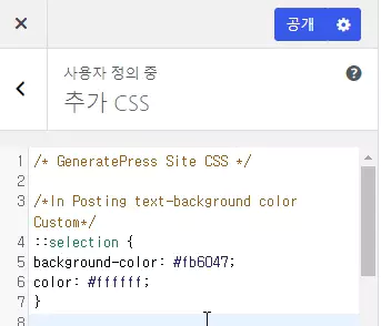 워드프레스 CSS | 드래그한 텍스트 배경색과 글자색 바꾸기 추가 CSS 삽입 화면