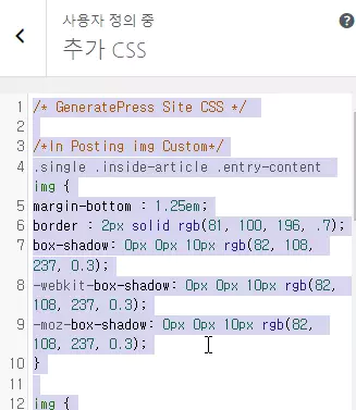 워드프레스 테마 옵션 가져오기 마무리 작업 : 추가 CSS 복사 붙여넣기